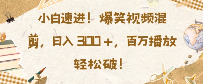小白速进，爆笑视频混剪，日入3张，百万播放轻松破【揭秘】-第一资源库